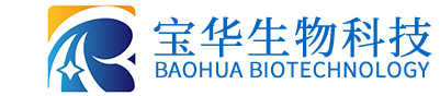 五大联赛比赛买球（中国）官方网站
